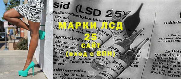 прущие грибы Алексеевка
