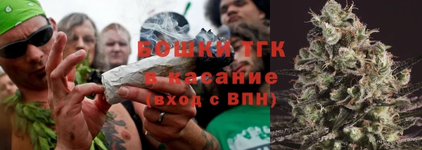 твердый Алексин