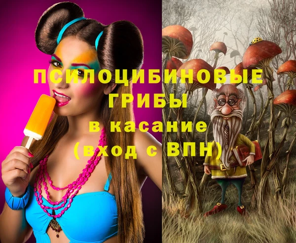 прущие грибы Алексеевка