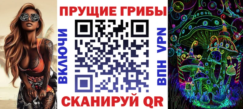 Псилоцибиновые грибы Psilocybe  где купить   Геленджик 